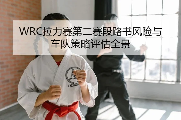 WRC拉力赛第二赛段路书风险与车队策略评估全景